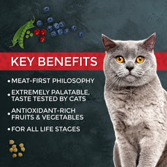 Fussie Cat Market Fresh kibble texture close-up indicating quality bites