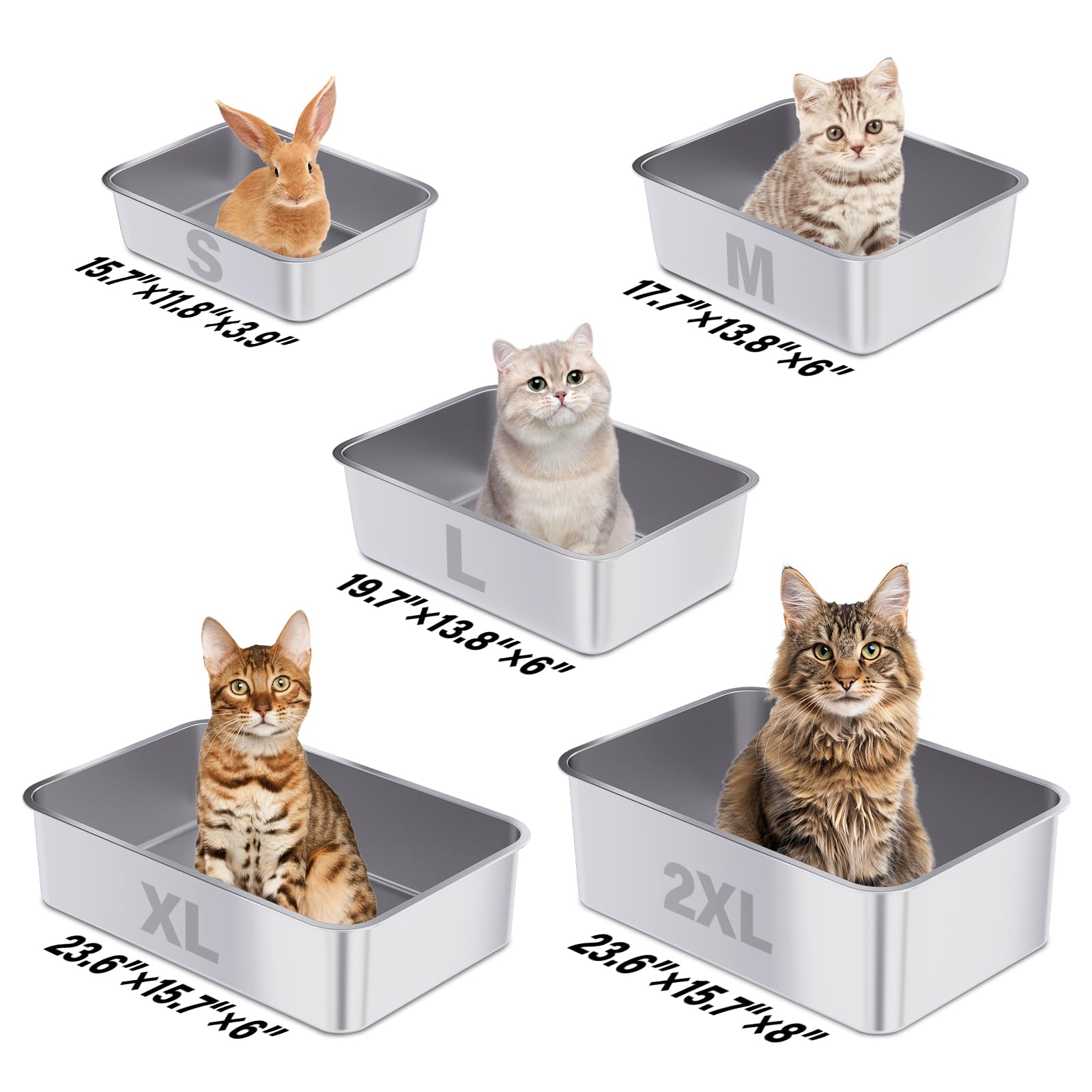 FUTAM wide-angle shot demonstrates jumbo size suitable for adult cats.