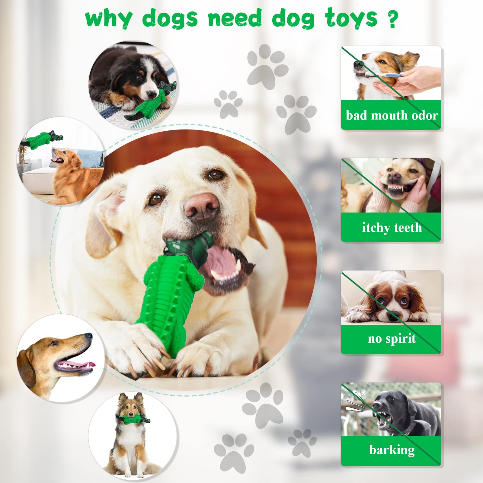 Fuufome interactive chew toy supports chewing power and owner interaction.