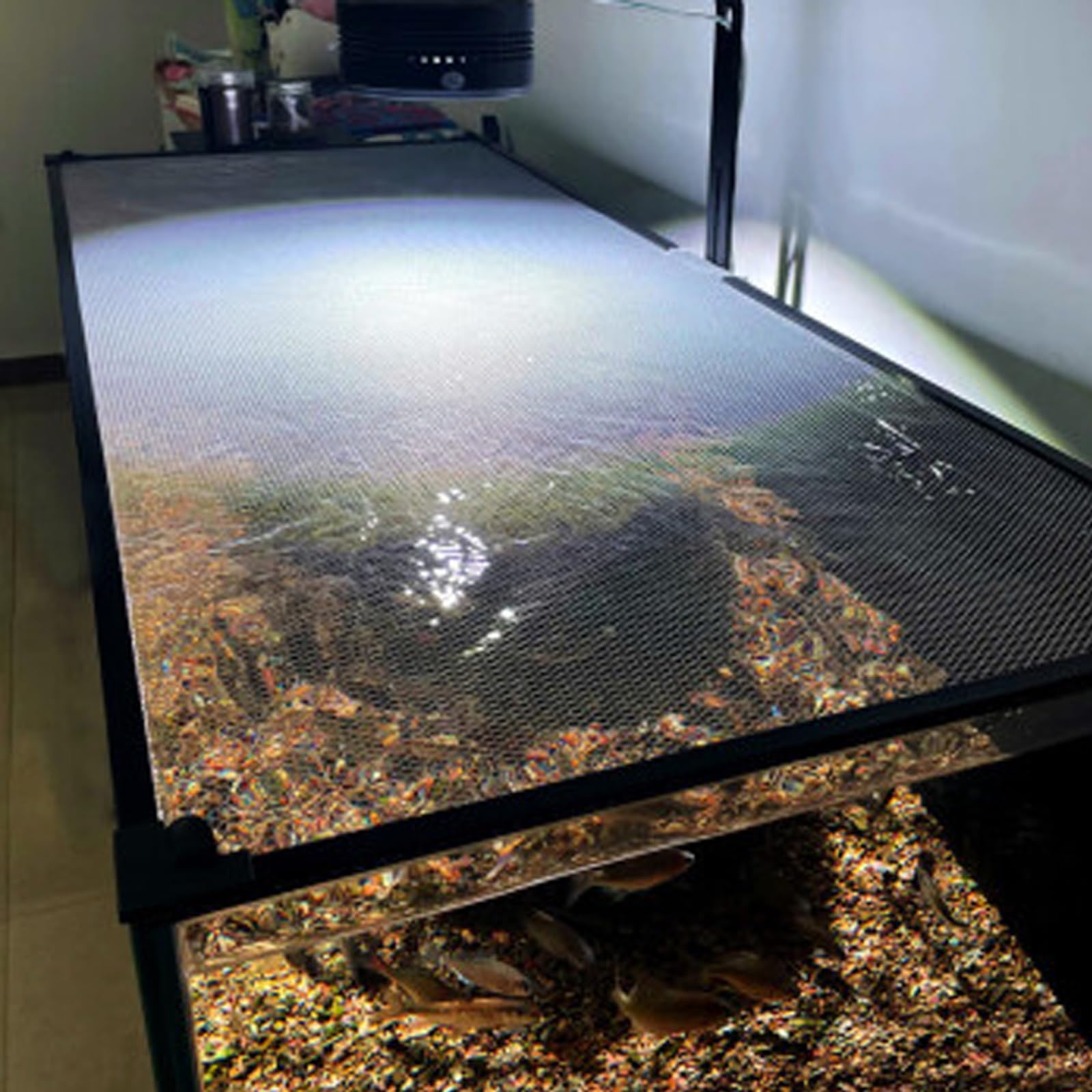 FUYITE reptile tank top cover in use to prevent escapes.