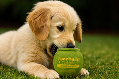 Fuzz Ballz 4-inch plush toy sized for small to medium dogs to carry