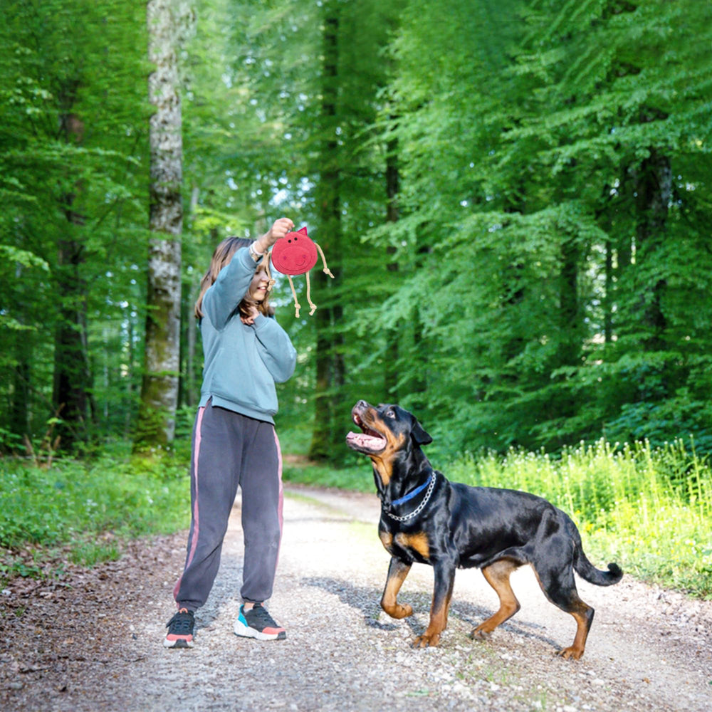 Fuzzl Eco Leather Pickles Pig in tug game pose for interactive play.