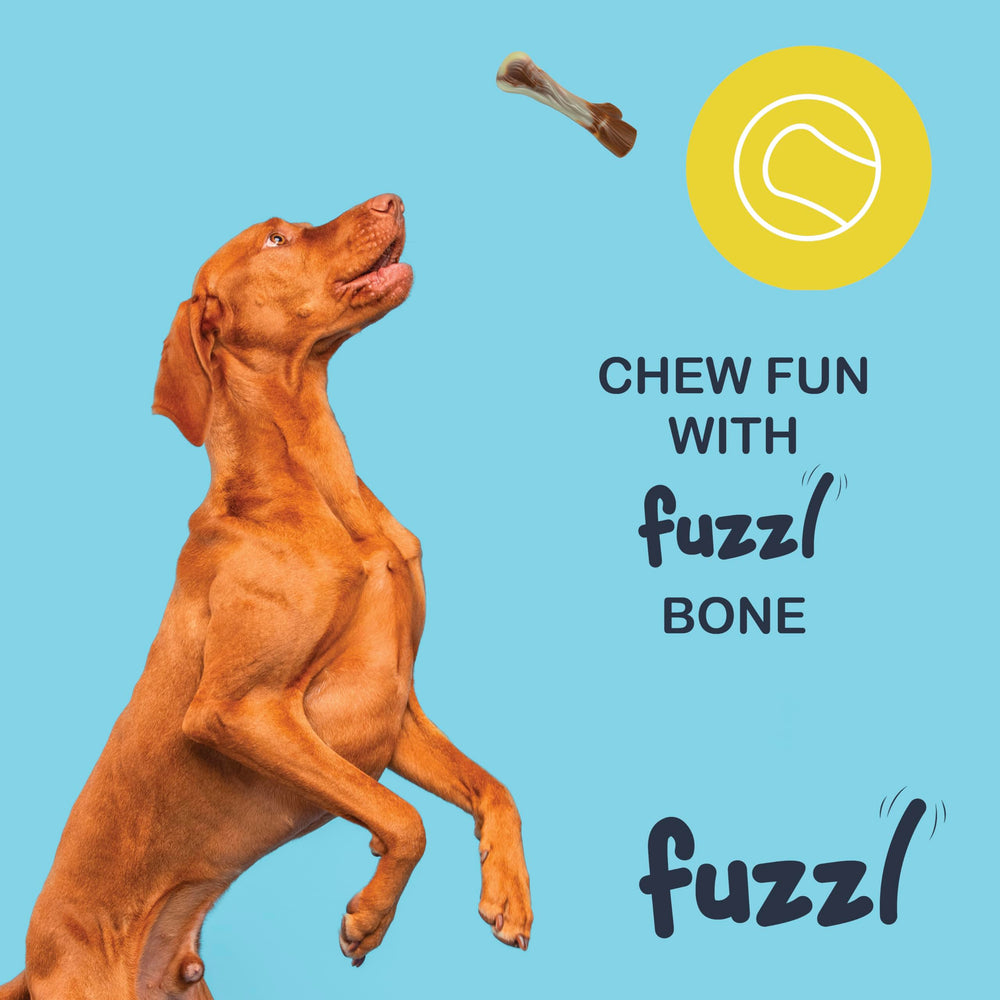 Fuzzl large-breed nylon dog chew toy 2-count bundle for powerful chewers