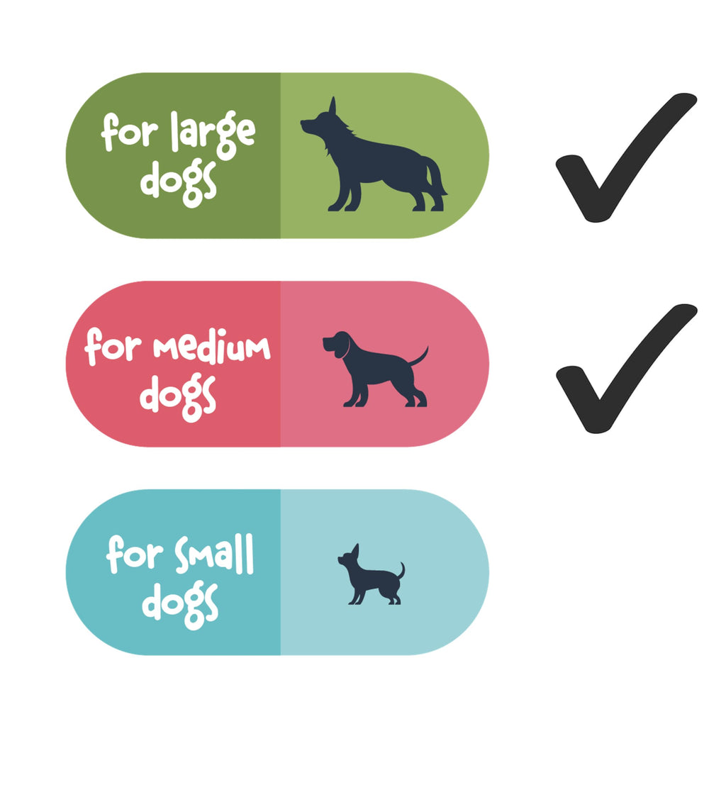 Fuzzl Olive Stix Medium 2 Pack strong-durability-test—built to withstand enthusiastic chewing.