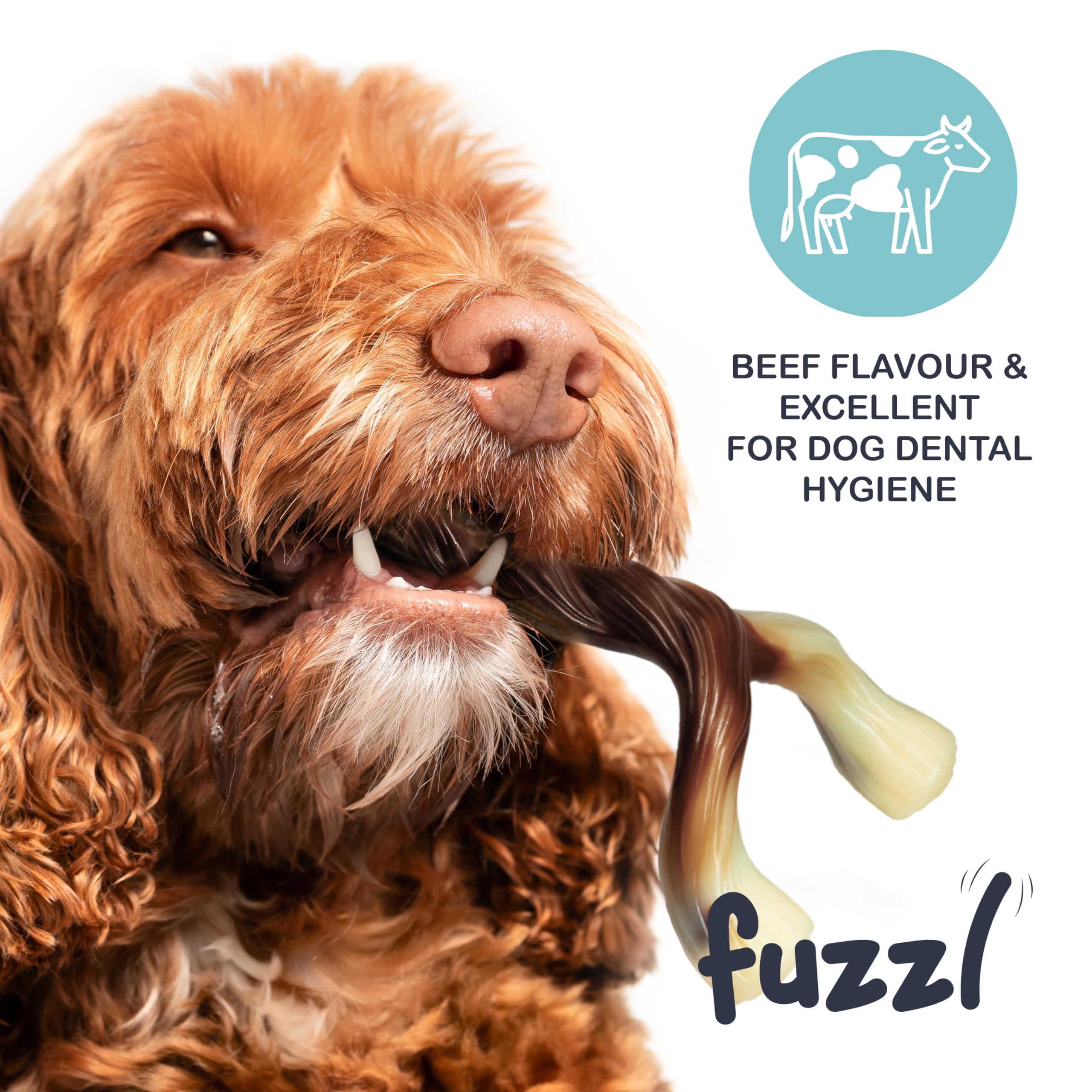 Fuzzl water-resistant nylon dog chew toy suitable for indoor and outdoor use