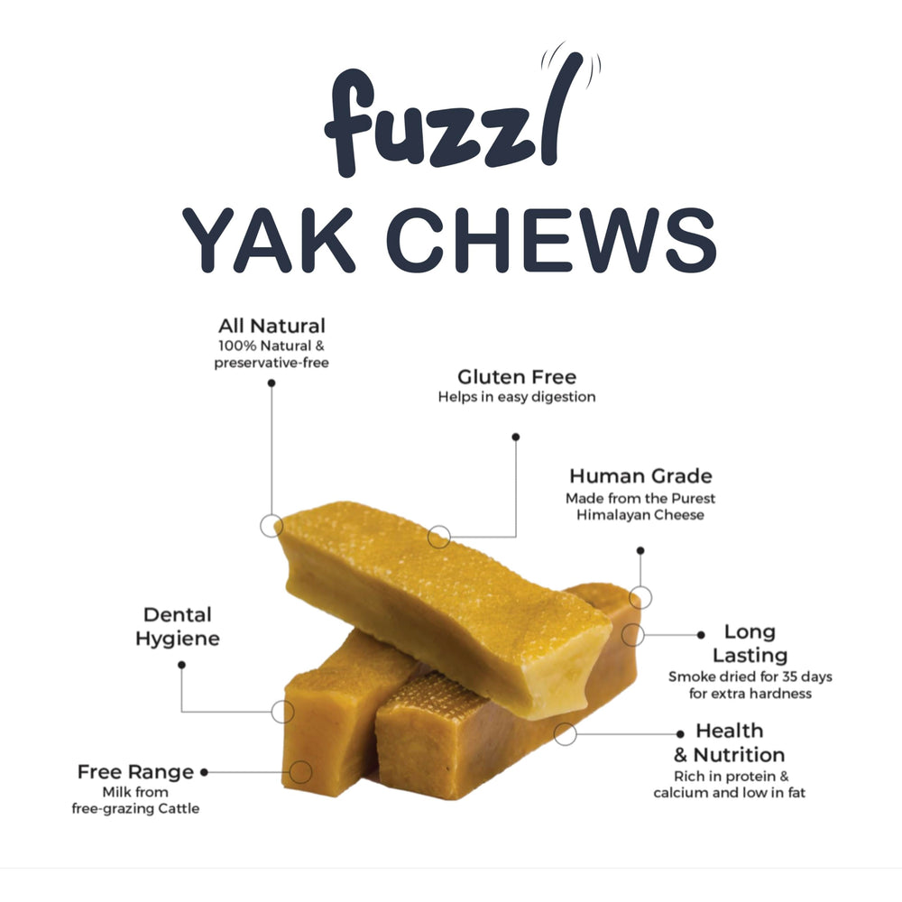 Fuzzl Yak Chews Mango closeup showcases bright fruit flavors for a tasty chew