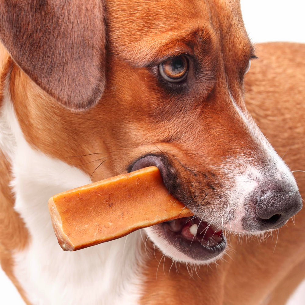 Fuzzl Yak Chews Pumpkin close-up emphasizing natural ingredients and calcium-rich snack