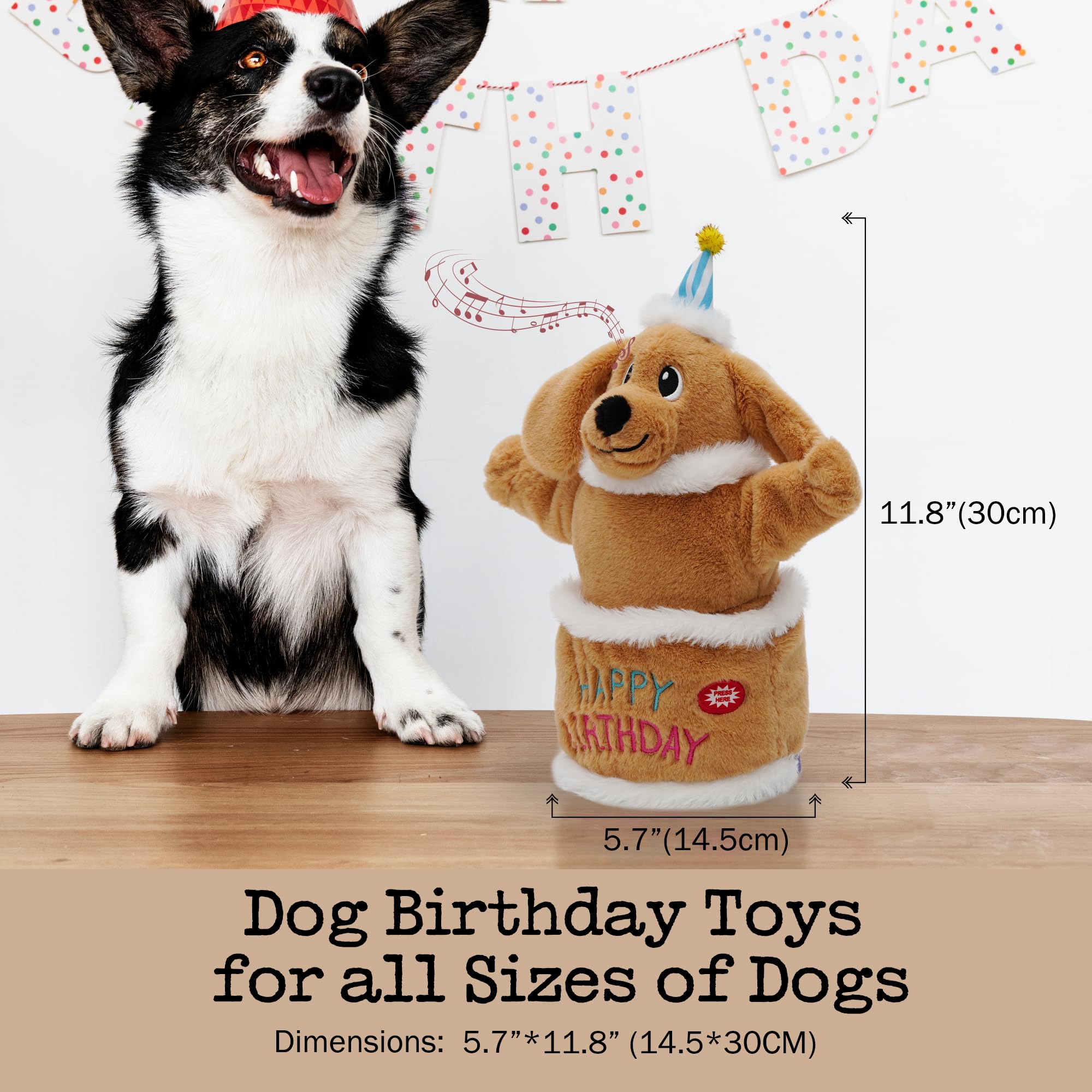 Fuzzwoof birthday cake party scene highlights celebration ready toy for dogs.