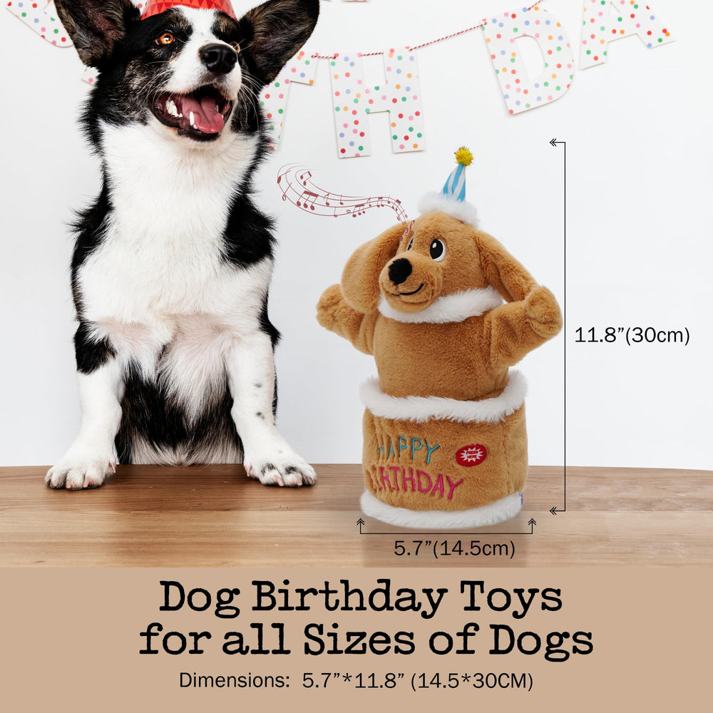 Fuzzwoof birthday cake party scene highlights celebration ready toy for dogs.