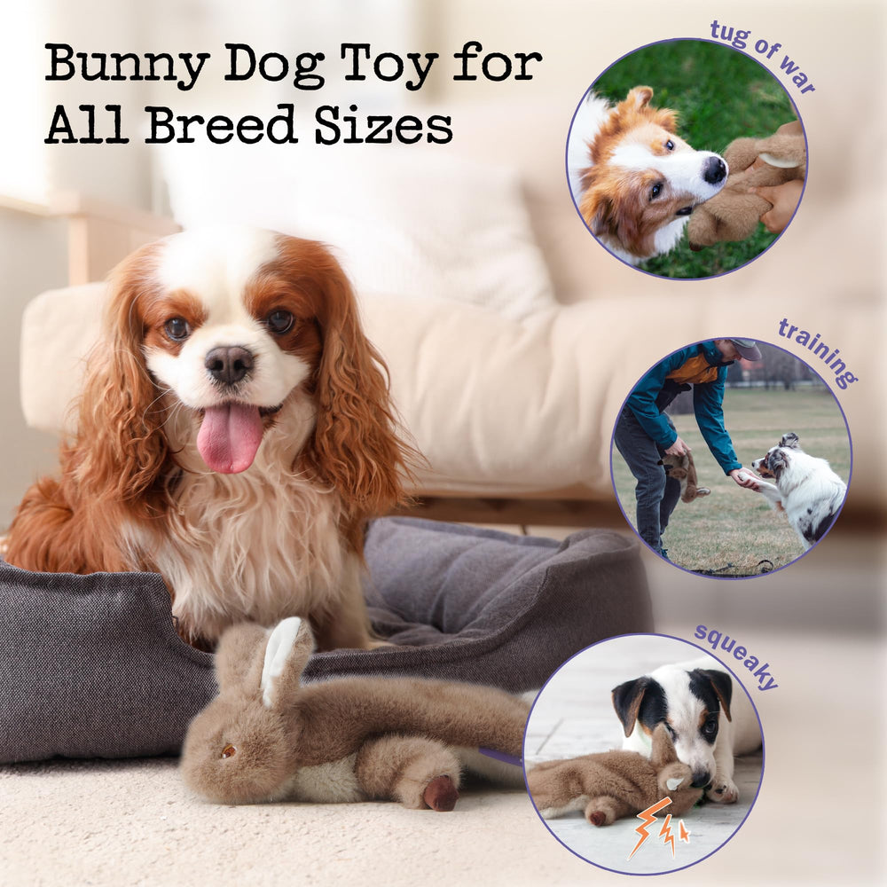 Fuzzwoof No-Stuffing Bunny Toy in tug action showcases interactive bonding and exercise.