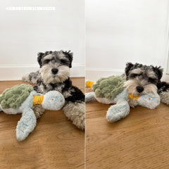 Fuzzwoof Turtle Dual-squeaker design delivers chew-activated and tug-activated sounds for engagement