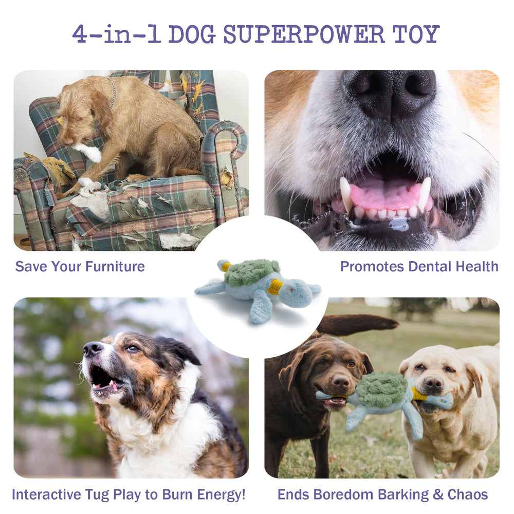 Fuzzwoof Turtle Interactive training toy encourages structured play and focus during routines
