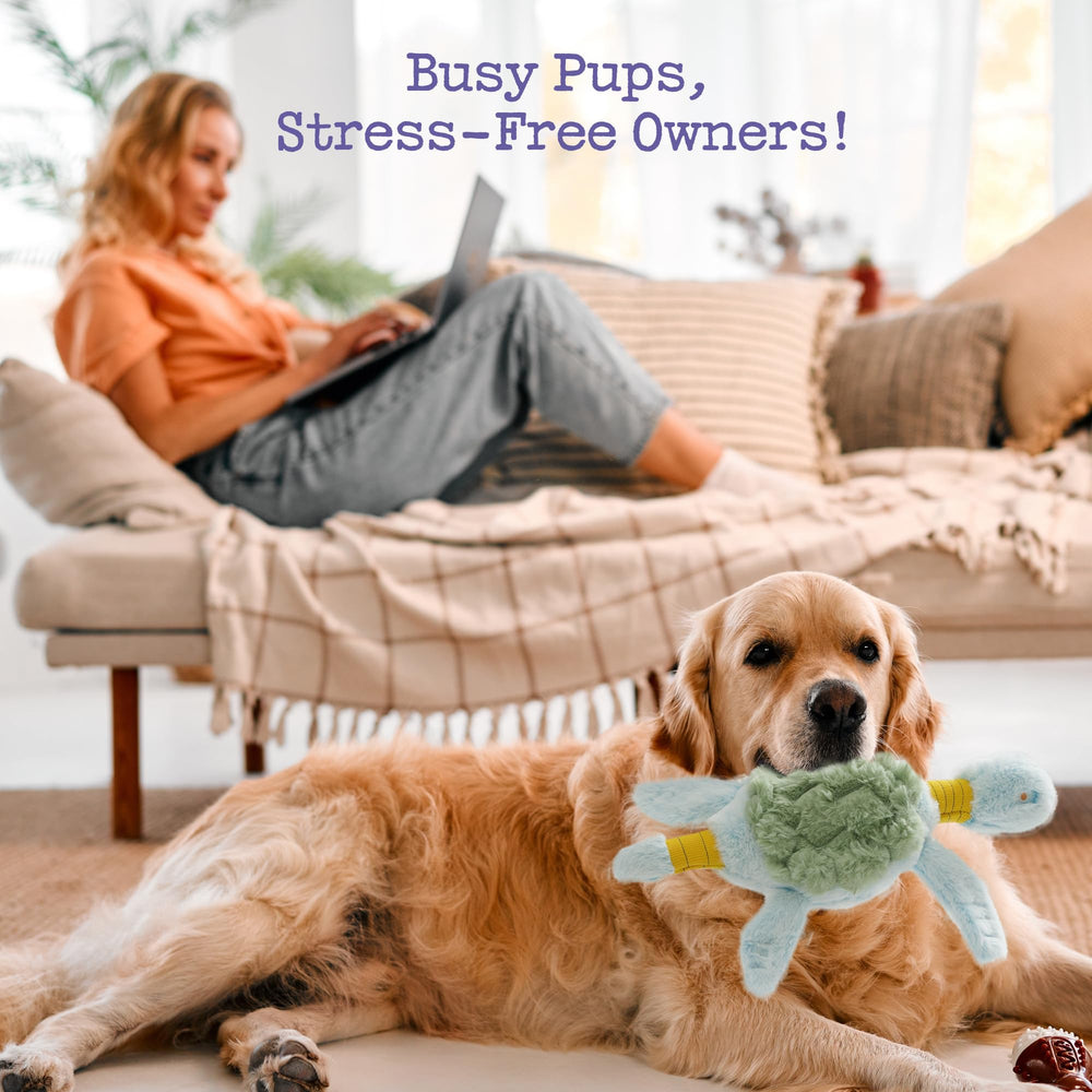 Fuzzwoof Turtle Large-breed friendly toy built to withstand powerful jaws