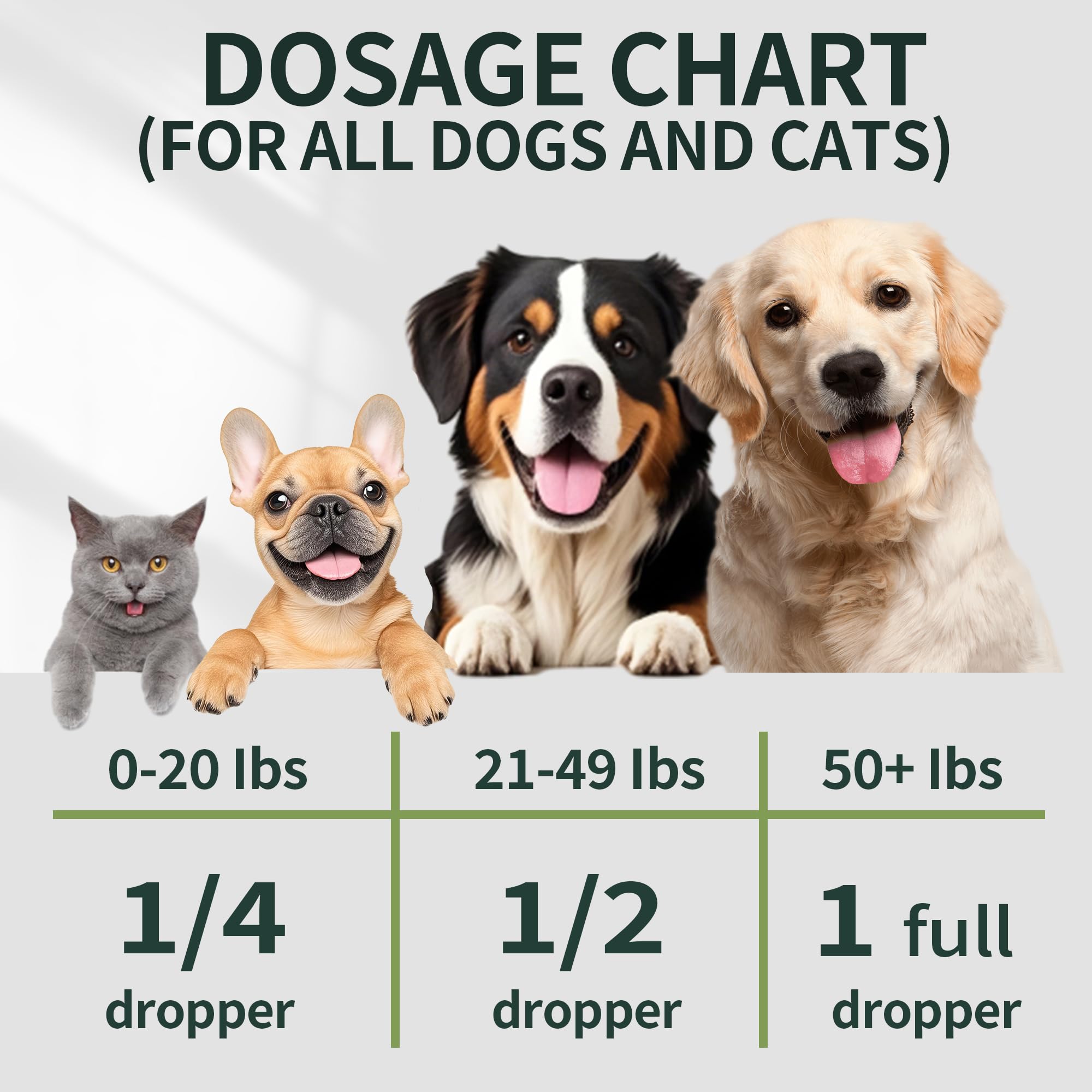 Fuzzycare hemp oil joint-support dogs photo showing improved mobility.