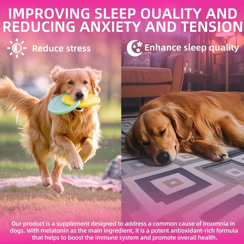Fuzzycare melatonin for dogs demonstrates a calm, relaxed dog post-use.