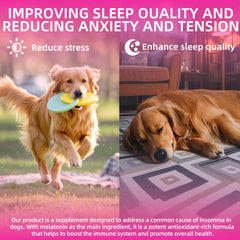 Fuzzycare melatonin for dogs demonstrates a calm, relaxed dog post-use.