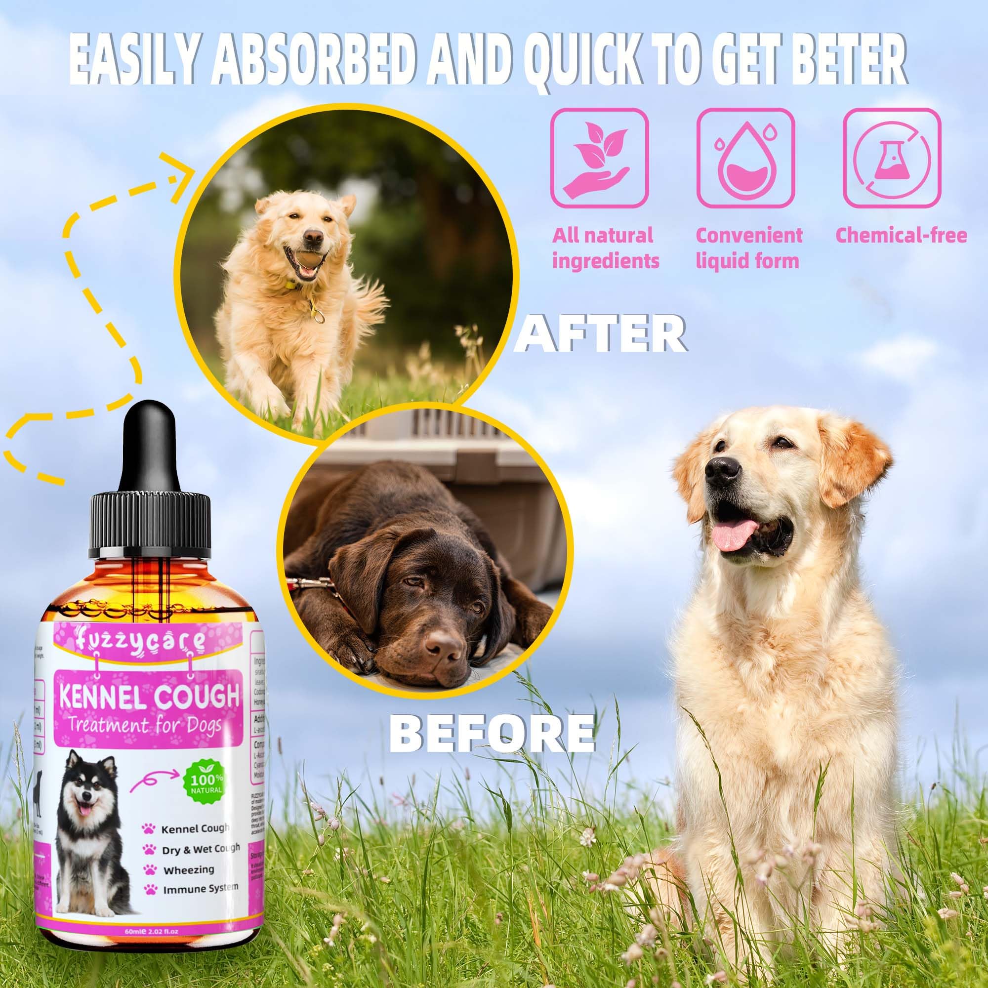 Fuzzycare usage diagram showing dosing scenarios for pets