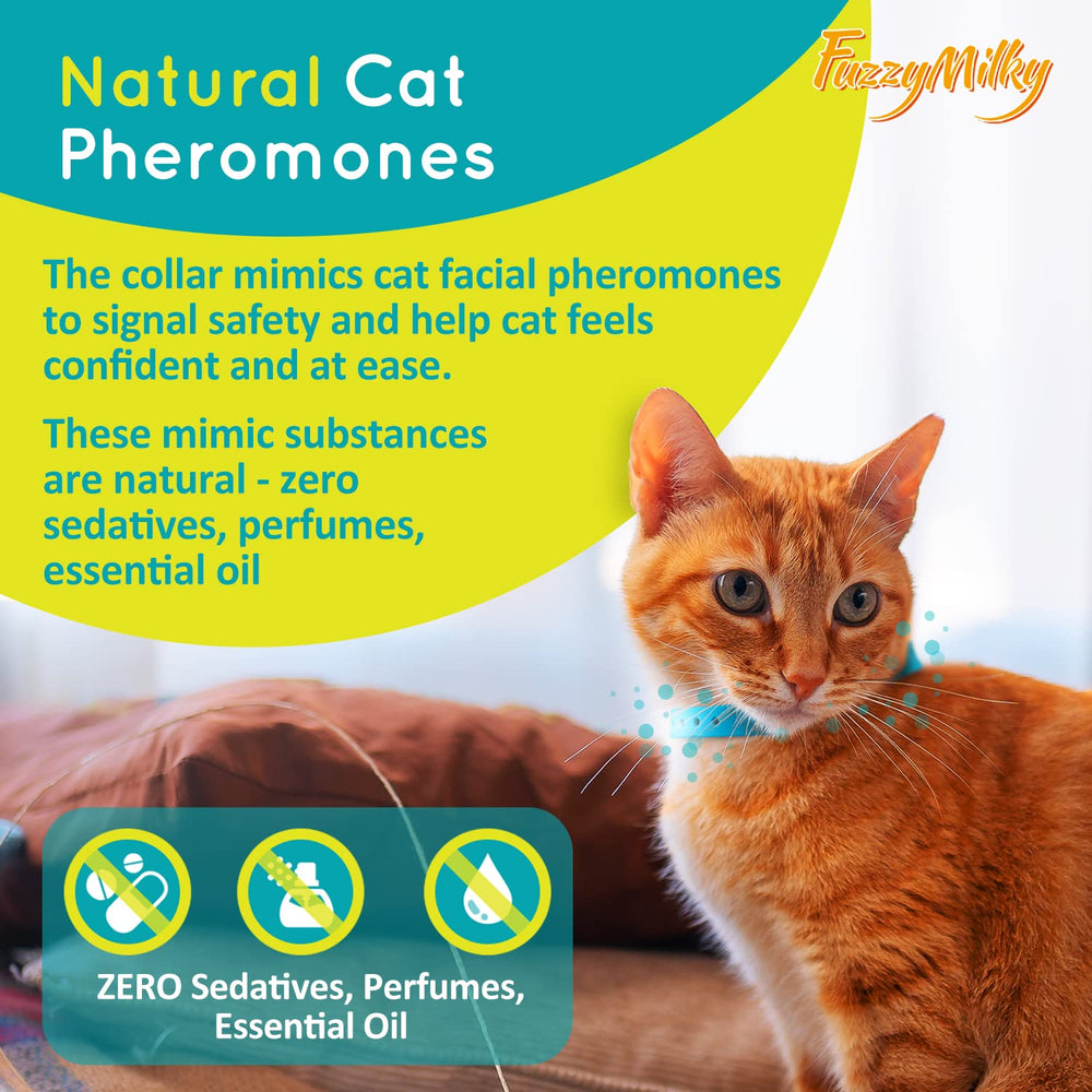 FuzzyMilky cat collar blue packaging showcases easy-to-wear calming solution for first-time users