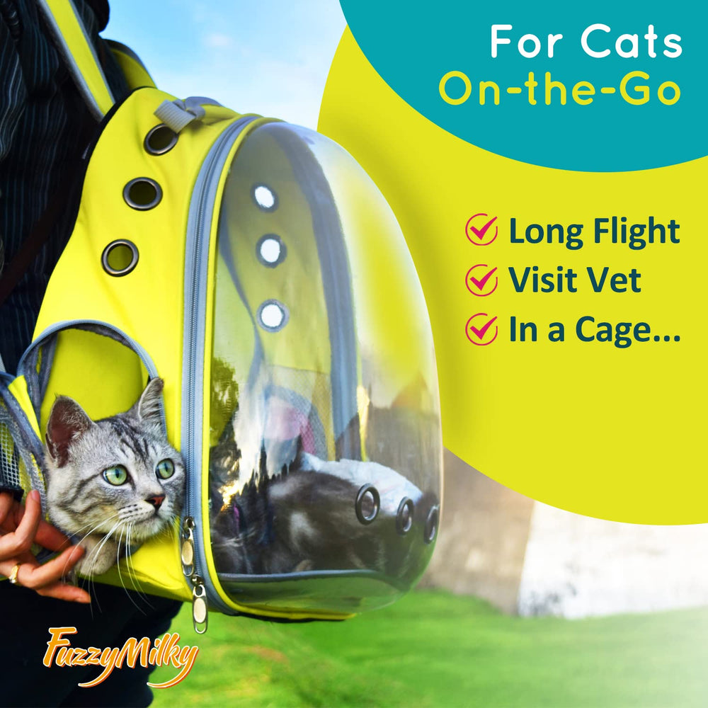 FuzzyMilky cat collar blue worn for travel scenes eases behavior challenges