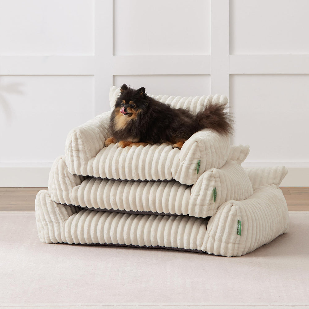 FWERDG Cute Couch Bed pet lounging setup in a living room