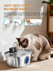 FWMB Cat Water Fountain capacity-108oz highlights ample water for multiple pets.