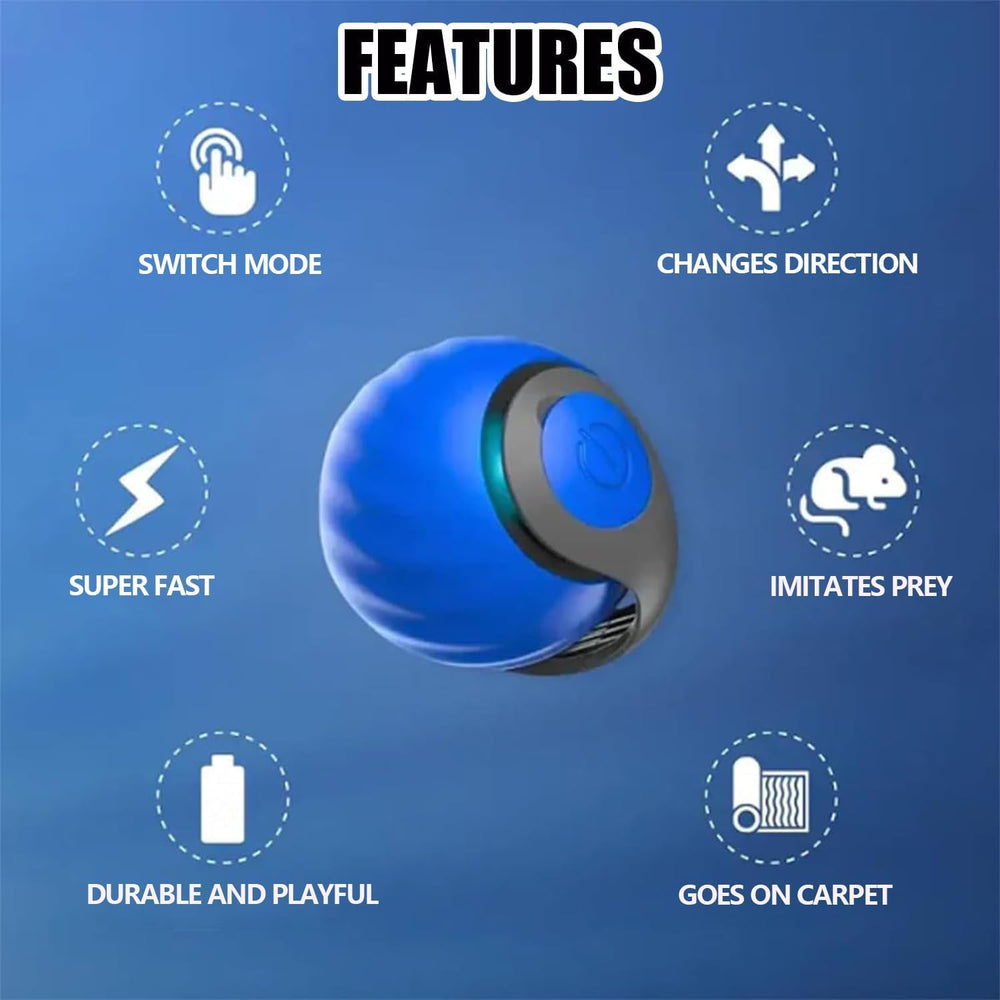 FXBUAF Speedy Tail 2.0 in action captures hunting-like movement for interactive fun.
