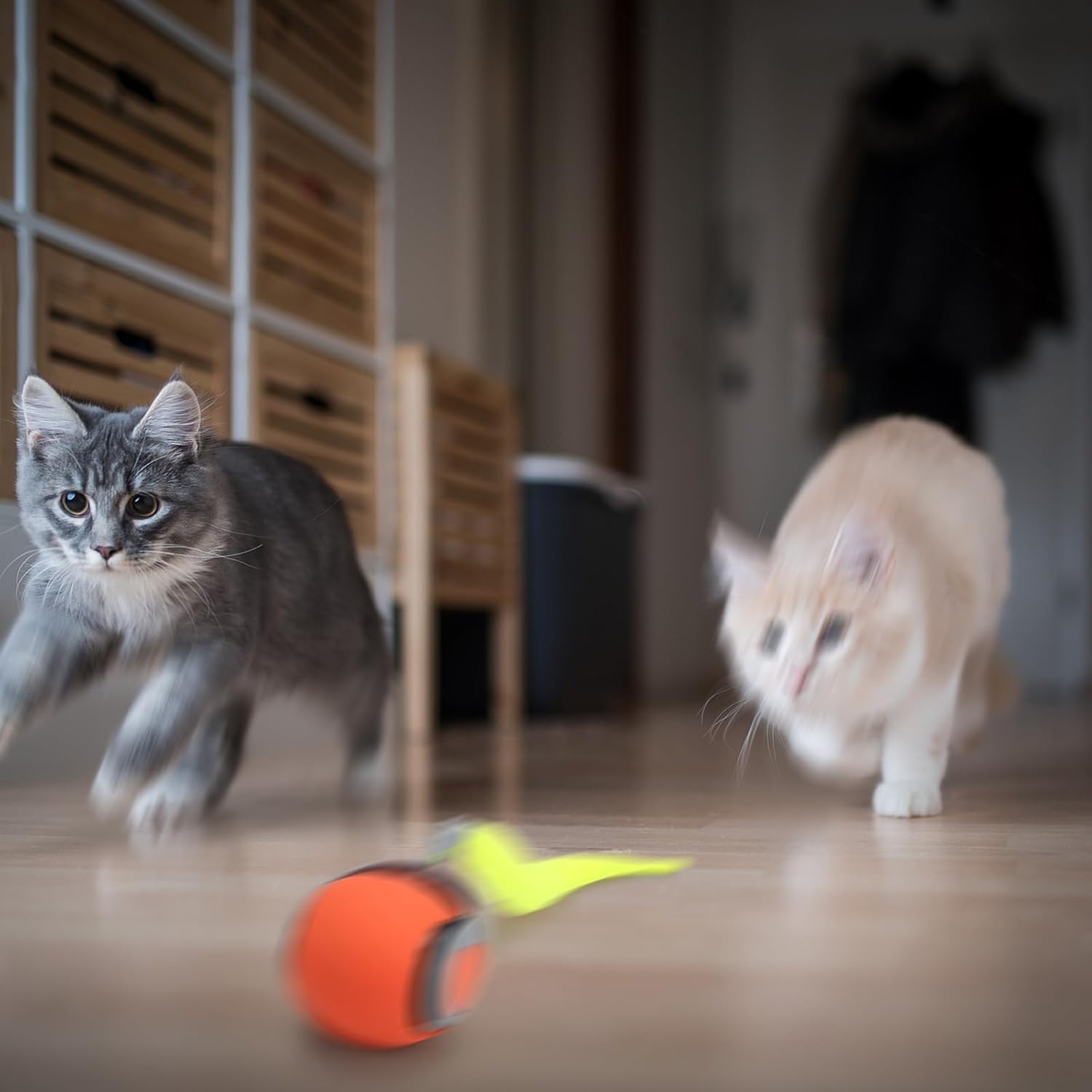 FXBUAF Speedy Tail 2.0 bite-resistant material showcases safe, durable feline play sessions.