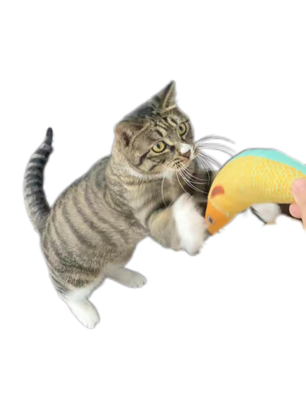 FXGJDeng Saury Fish toy in yellow, side view, crinkle sound sparks hunting instincts.
