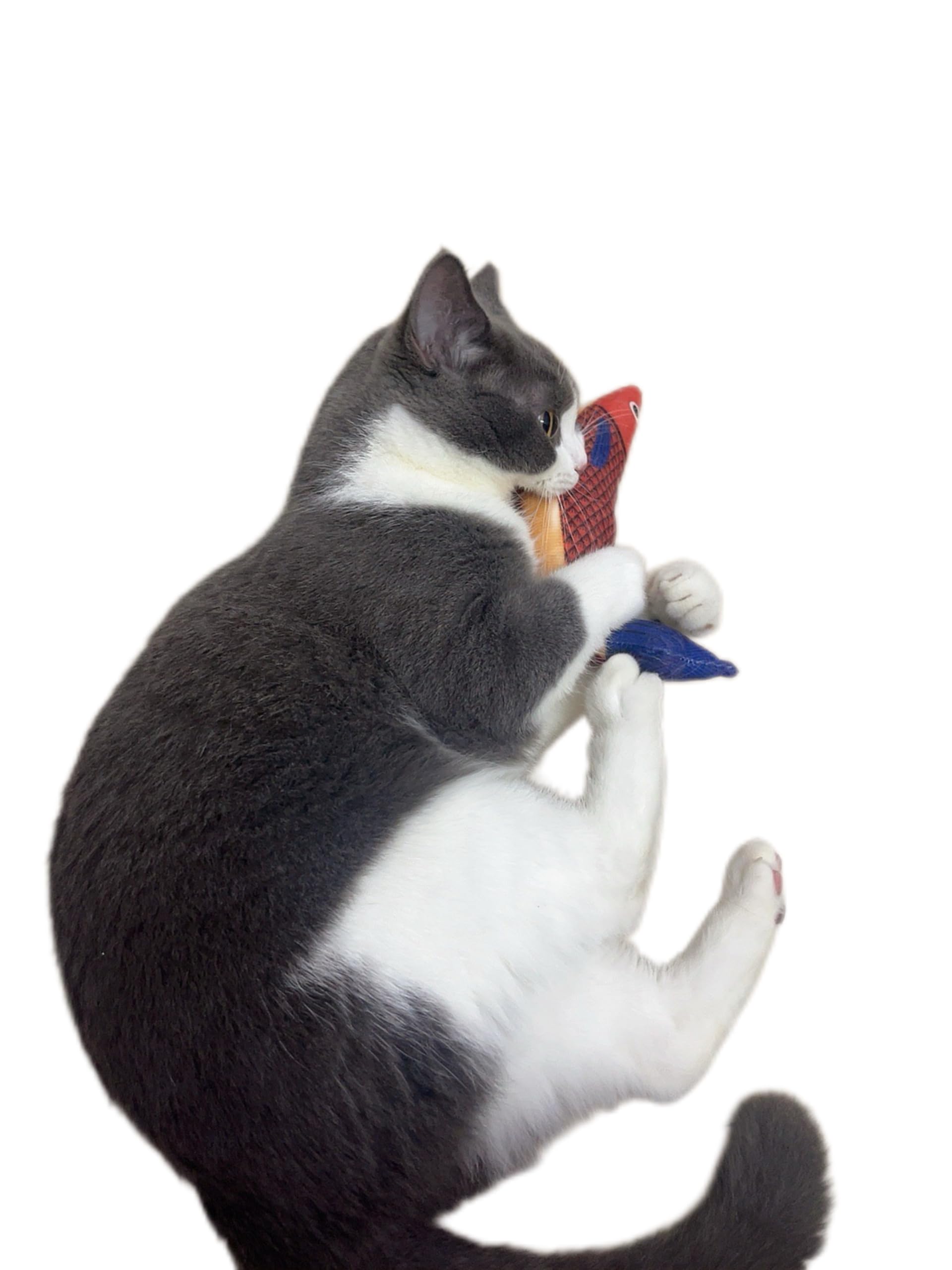 FXGJDeng Saury Fish orange side view, durable plush for long-lasting fun.