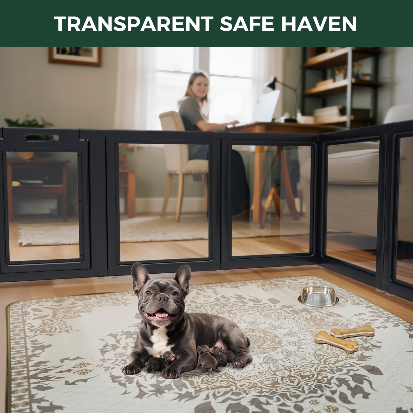 FXW AuraSpace two-dogs-feature shows concurrent play and rest spaces in one enclosure.