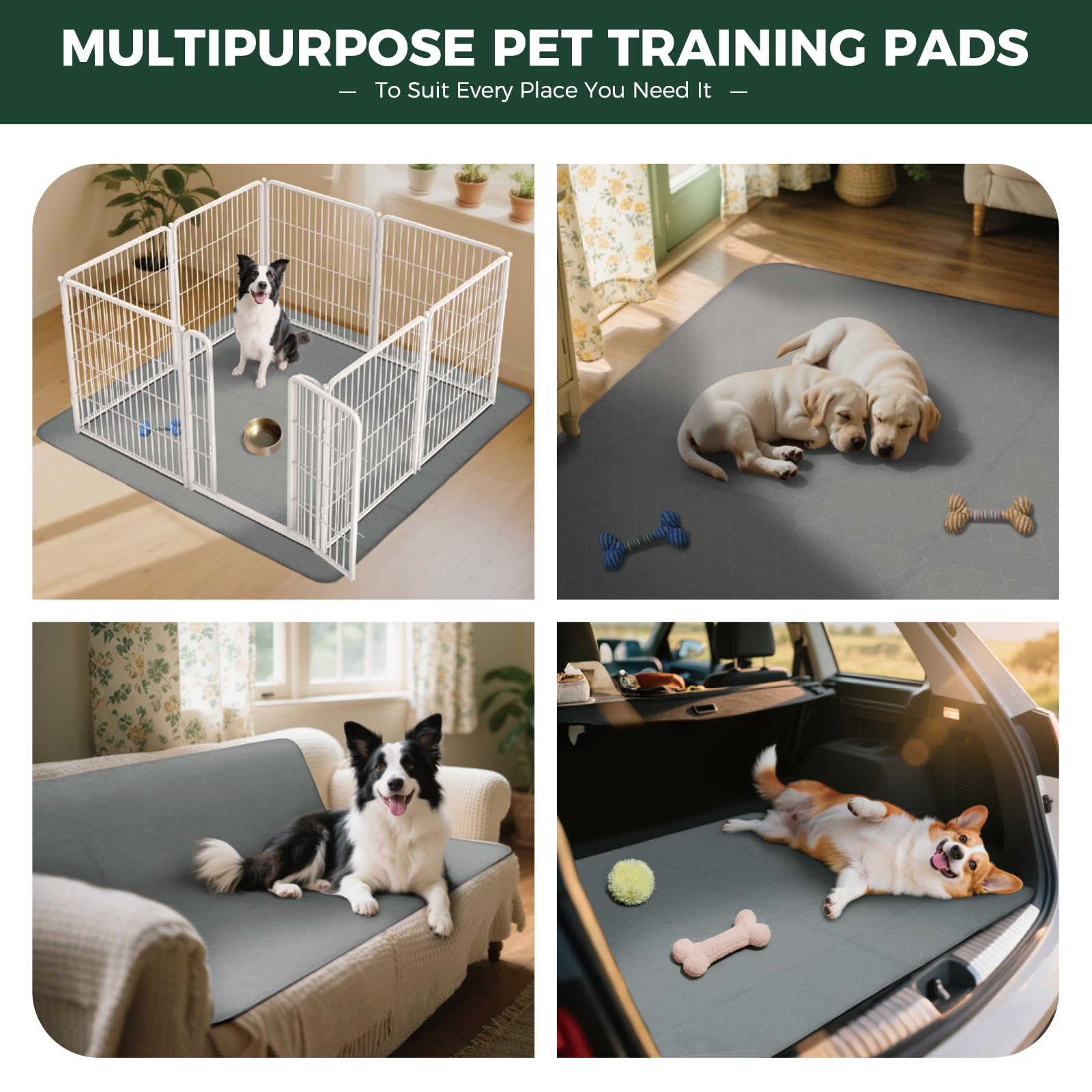 FXW crate-pad mat doubles as a training area mat