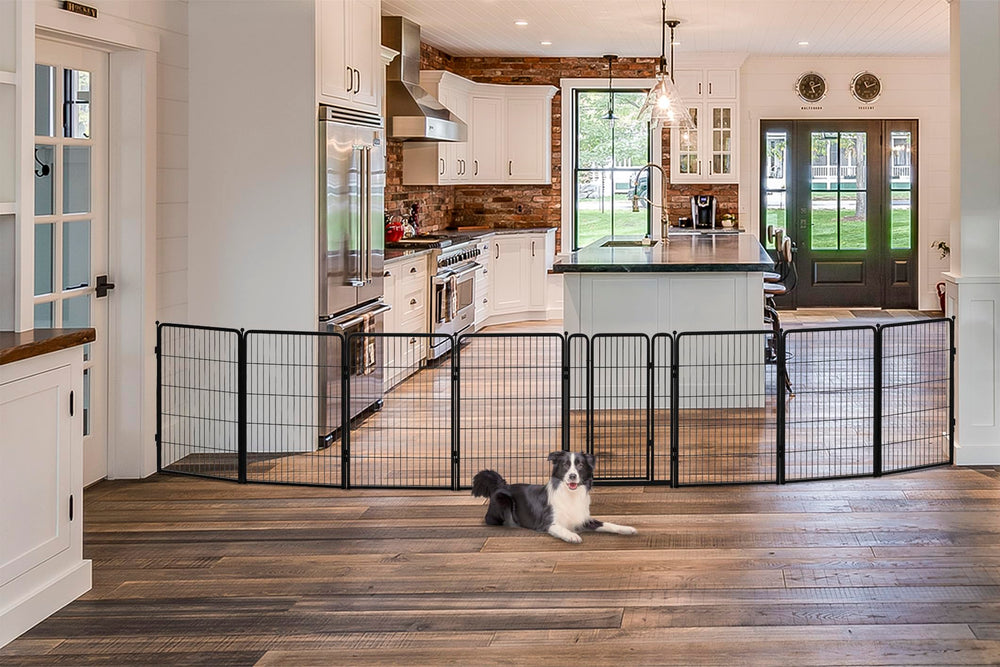 FXW Dog Gate indoor wide assembly demonstrates quick setup for wide room openings