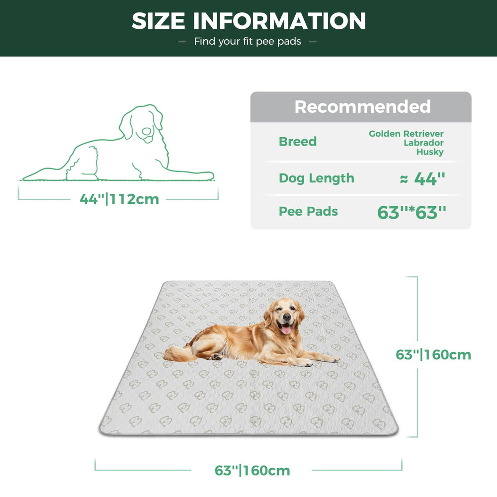 FXW dog pad highlighting waterproof TPU layer that protects floors