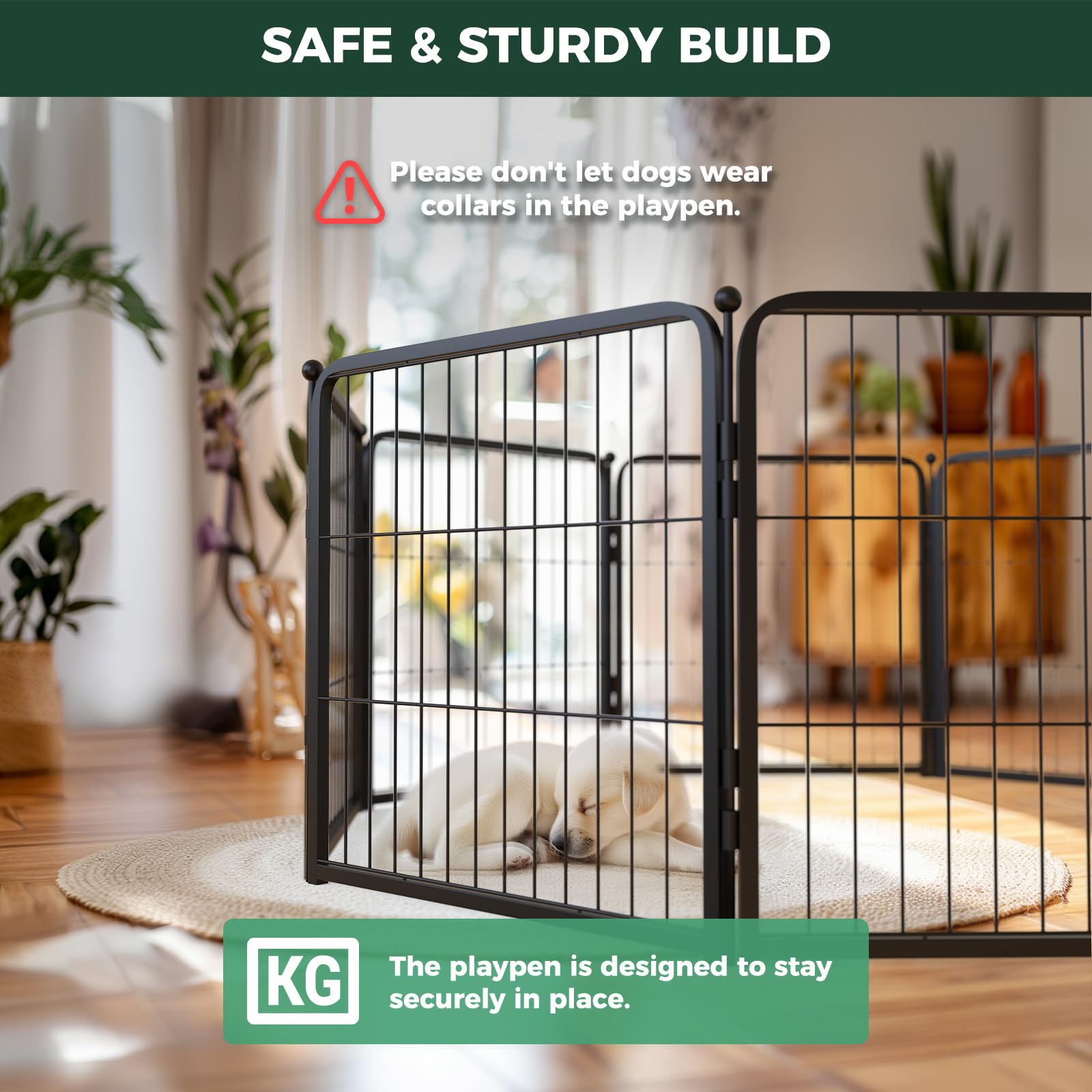 FXW Homeplus Unleashed black-finish adds sleek indoor compatibility