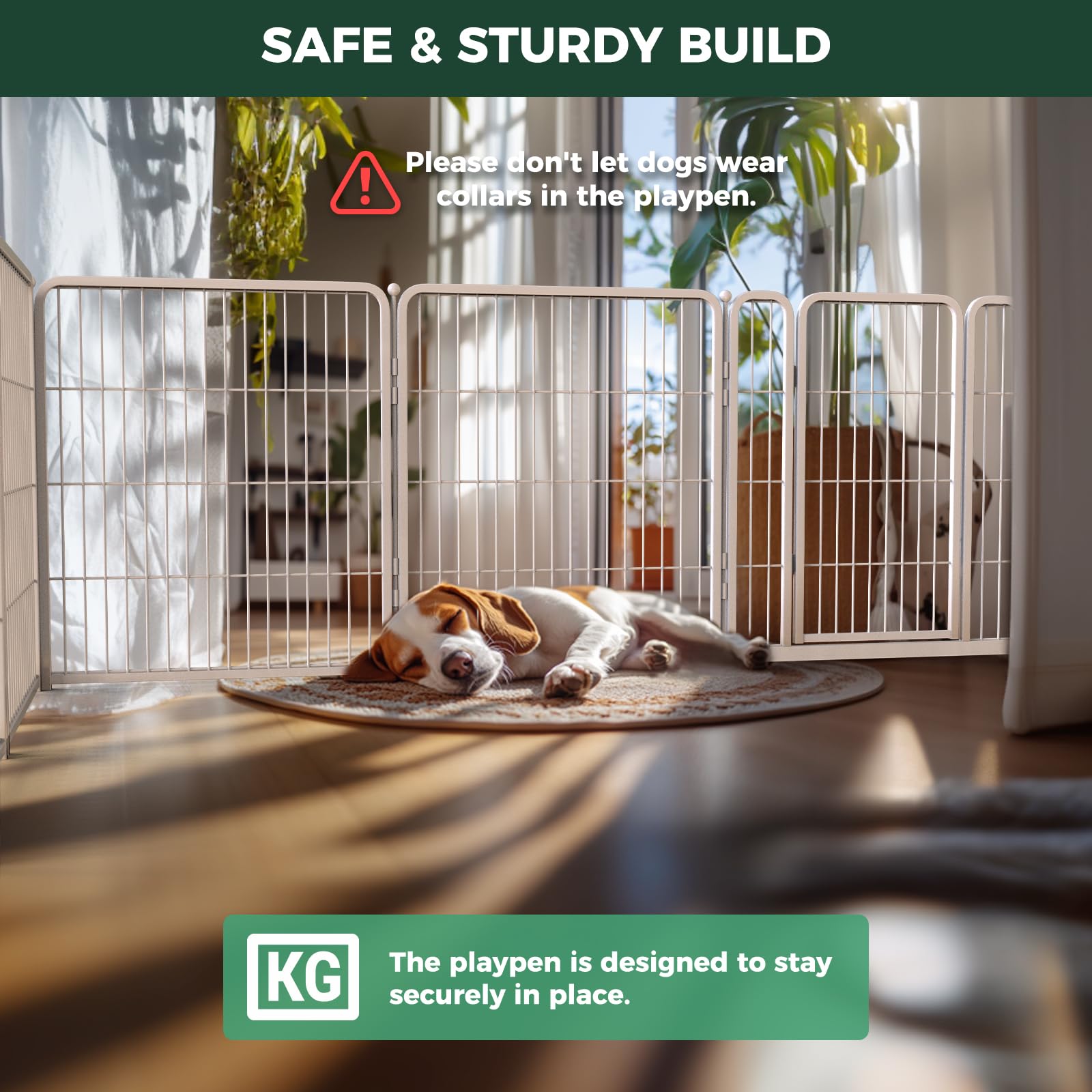 FXW Homeplus Unleashed dog pen in use demonstrates safe, worry-free running indoors.