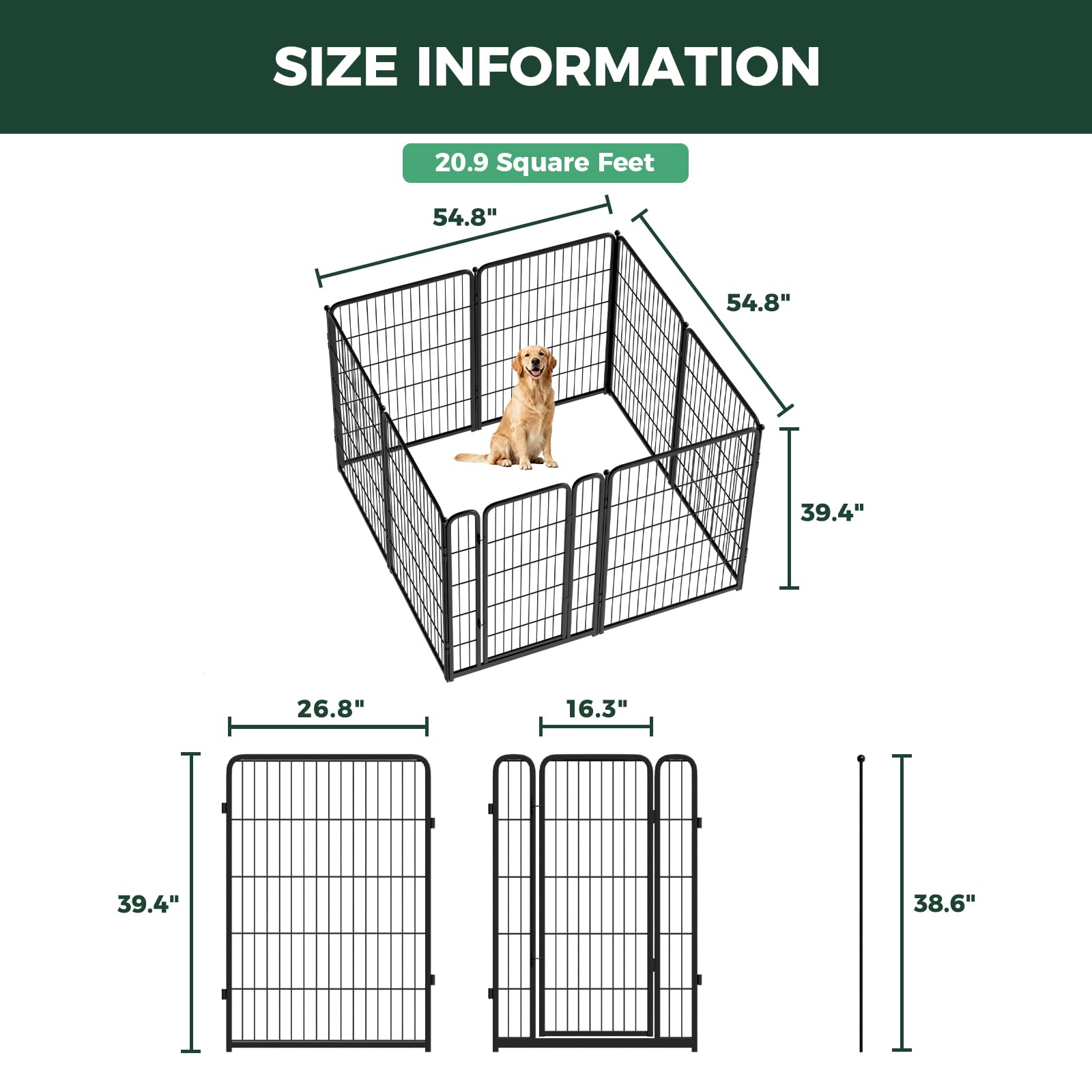 FXW HomePlus Unleashed dog in play setup illustrates safe containment and exercise space.