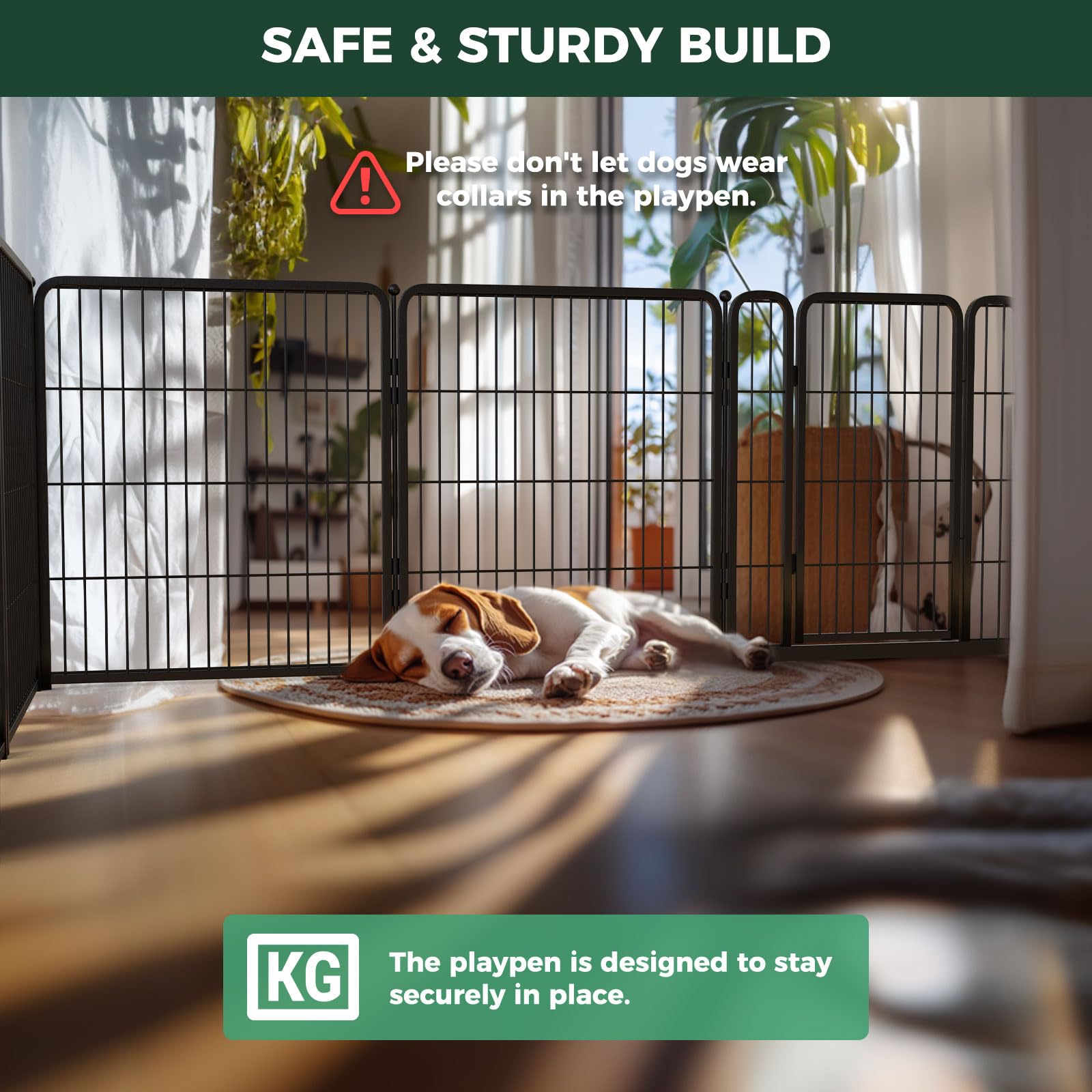 FXW Homeplus Unleashed patented design showcases safety features and durable materials.