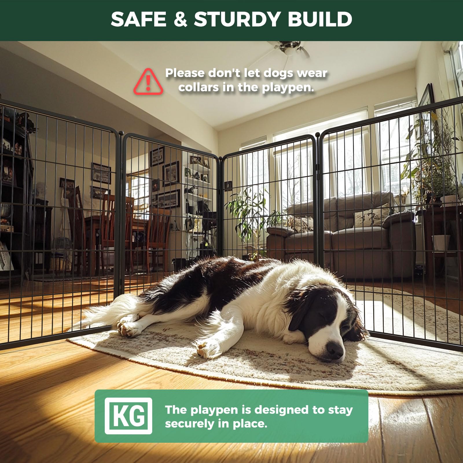 FXW HomePlus Unleashed threshold-free entry simplifies daily setup and dog access.