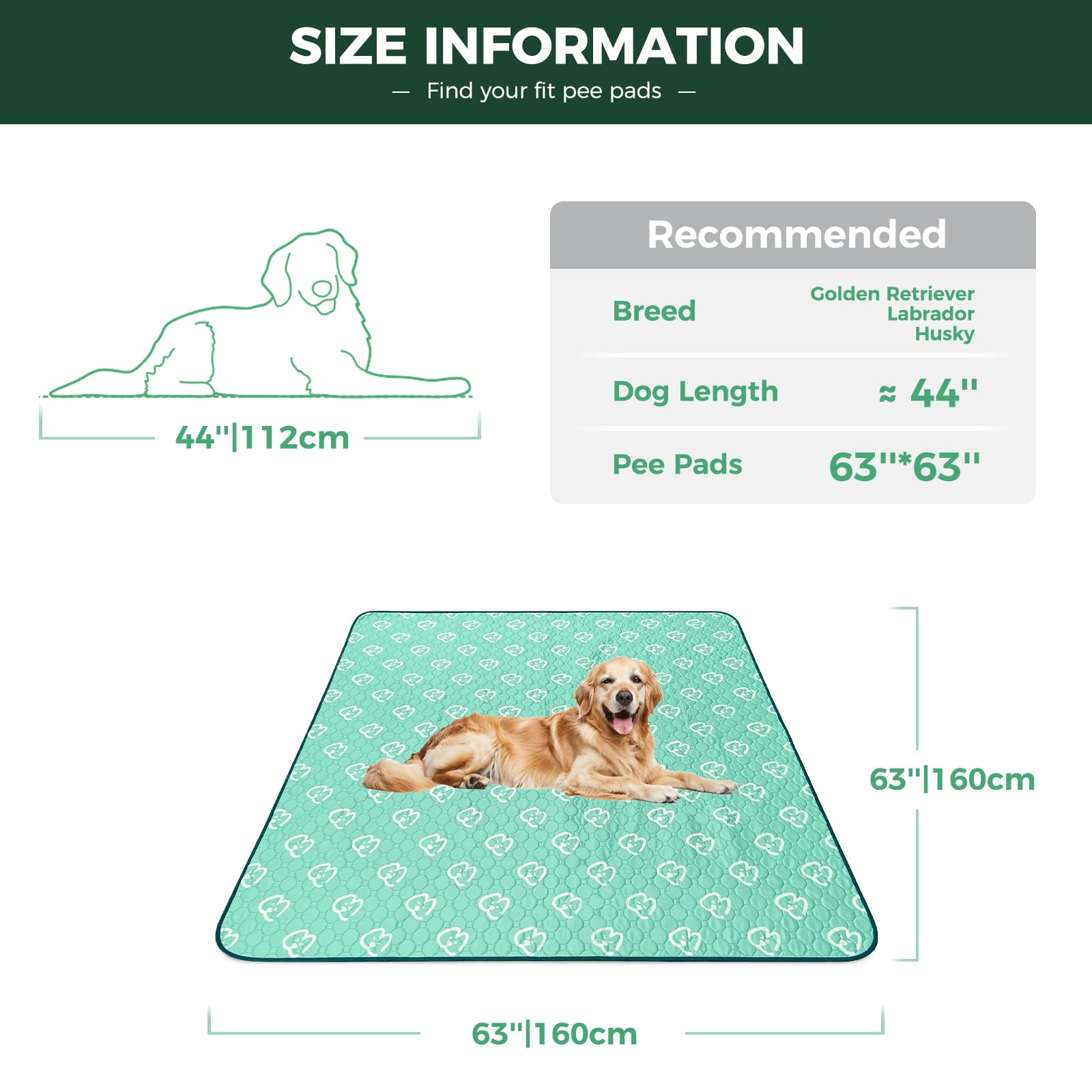 FXW pee pad features anti-slip backing to keep mats in place during playtime.