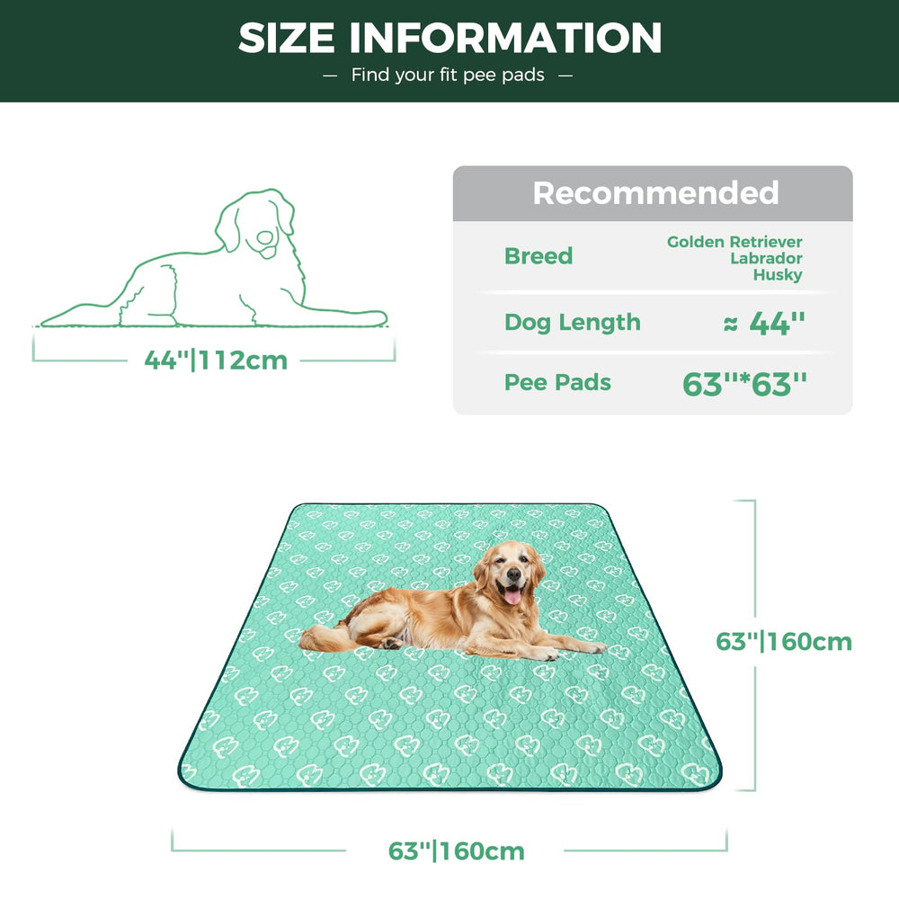 FXW pee pad features anti-slip backing to keep mats in place during playtime.