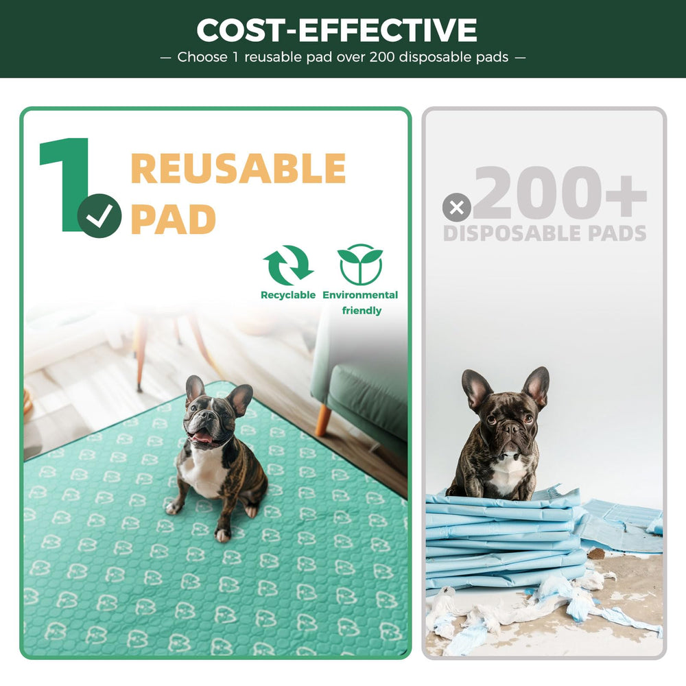 FXW pee pad is reusable and machine washable for eco-friendly routines.