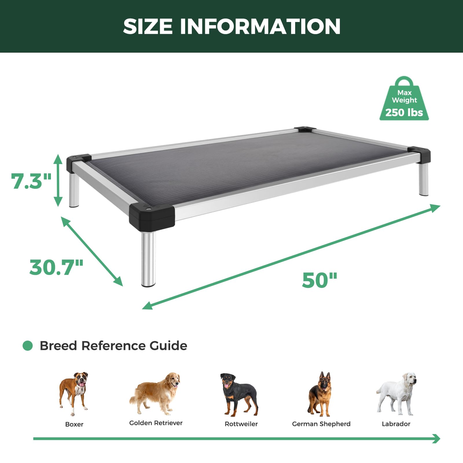 FXW TitanNest lightweight and portable for travel and storage.