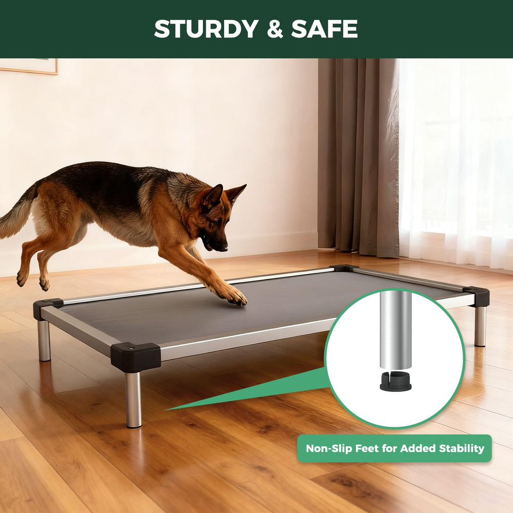 FXW TitanNest supports up to 250 lbs for active dogs.
