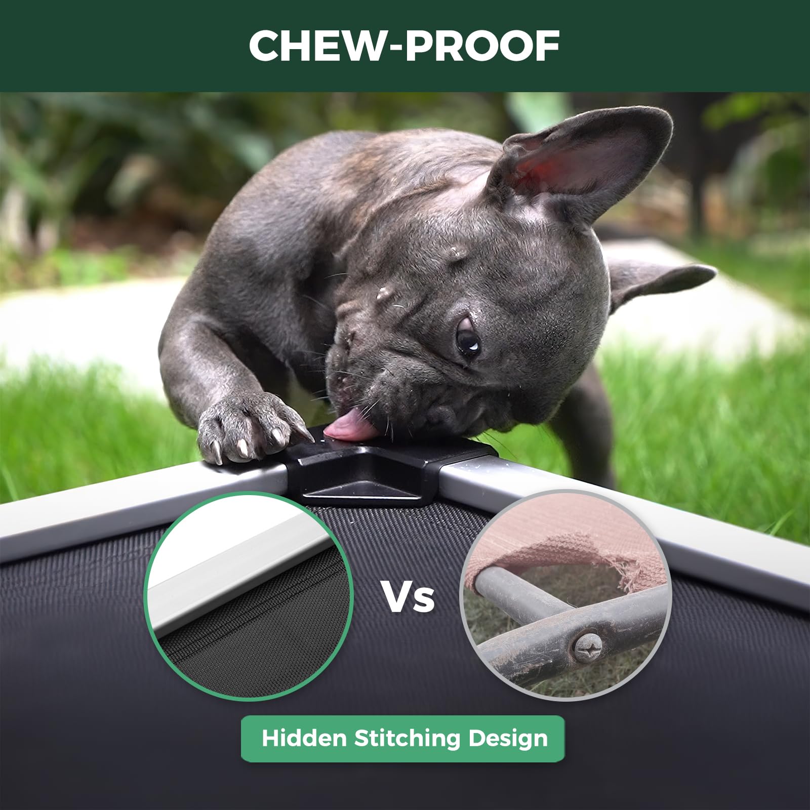 FXW TitanNest breathable mesh surface keeps the pet cool and comfy.