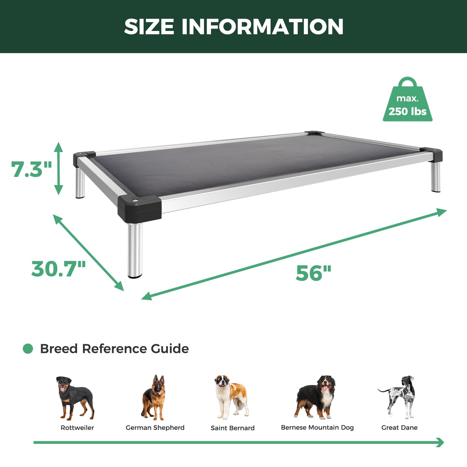 FXW TitanNest indoor-outdoor-ready bed suits home, patio, or campsite.