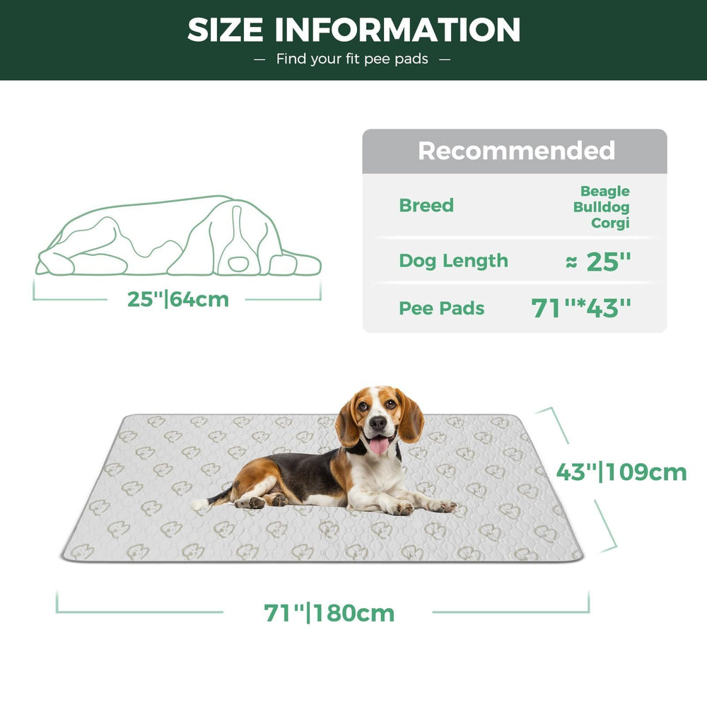 FXW Washable Pee Pads show waterproof TPU layer protecting floors from accidents.