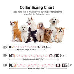 FYEQYAOU adjustable collar showing safety buckle and D-ring for secure easy on/off.