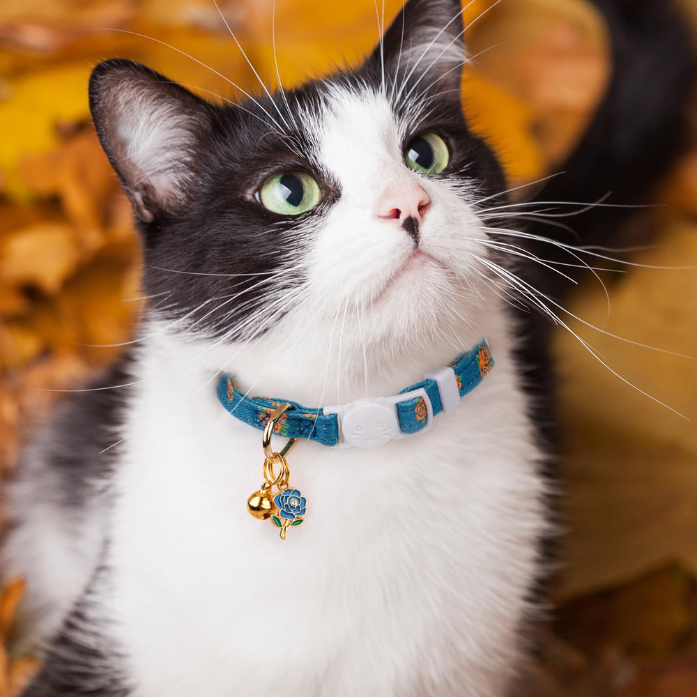 FYEQYAOU blue and black floral collar suitable for daily wear and events