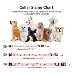 FYEQYAOU collar showing adjustable sizes small to large for growing dogs.
