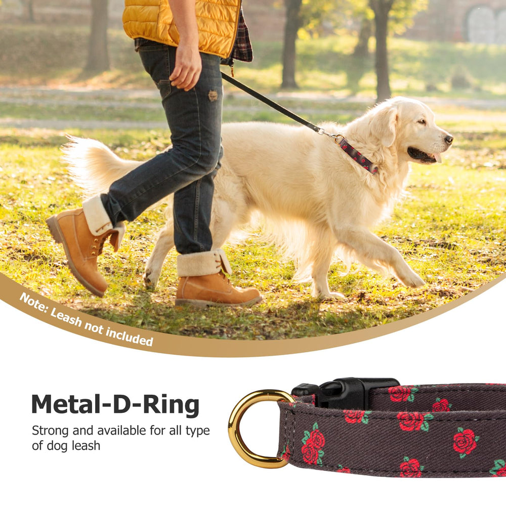 FYEQYAOU dog wearing collar during walk in outdoor setting